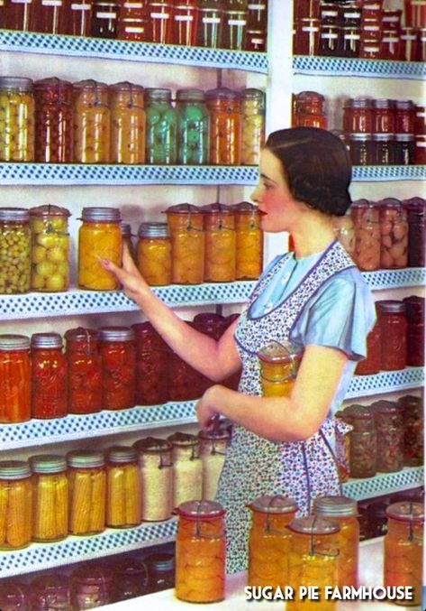 Canning Basics, Housewife Recipes, Preserved Food, Dream Pantry, Canning 101, Canning Food Preservation, Canned Food Storage, Canning Tips, Canned Fruit