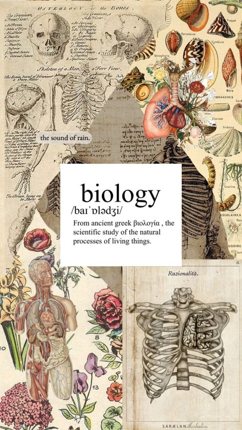 bio Instagram Bio For Science Students, Desktop Wallpaper Science, Life Science Wallpaper, Science Wallpaper Biology Aesthetic, Human Biology Aesthetic, Studying Biology Aesthetic, Biomedical Science Aesthetic, Biology Aesthetic Wallpaper, Biology Cover Page Design