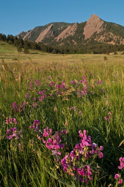 Colorado Places To Visit, Boulder Flatirons, Multi Millionaire, Explore Colorado, Park View, Flat Irons, Mountain High, University Of Colorado, Boulder Co