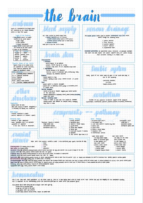 Anatomy Of Brain Notes, Goodnotes Revision Notes, Ipad Notes Psychology, Goodnotes Science Notes, Goodnotes Notes Ideas Medicine, Ipad Notes Aesthetic Psychology, Biology Notes On Ipad, Psychology Notes Aesthetic Digital, Community Medicine Notes