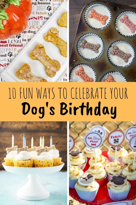 Puppies First Birthday, Dog Party Food, Dog Birthday Party Ideas, Dog Birthday Cupcakes, Party Tips And Tricks, Pumpkin Dog Biscuits, Birthday Dog Treats, Dog Cake Recipes, Dog's Birthday