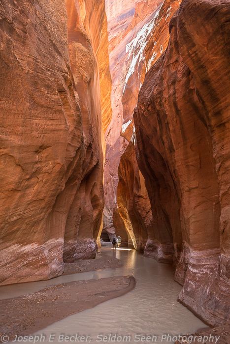 Grand Canyon Trails, Mesa Arch Canyonlands, Pik 2, Paria Canyon, North Rim Grand Canyon Hikes, Annie’s Canyon Trail, Red Desert, Slot Canyons, Grand Canyon Aerial View