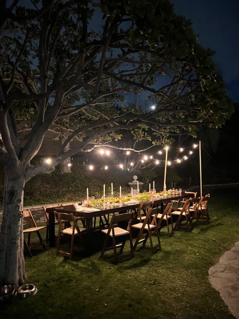 Dinner Party Outside Aesthetic, Birthday Party Intimate, Birthday Decorations Garden Party, 19 Birthday Party Decorations, Outside Birthday Dinner Ideas, Outdoor Birthday Dinner Ideas, Backyard Patio Birthday Party, Lawn Dinner Party, 17 Birthday Party Decorations