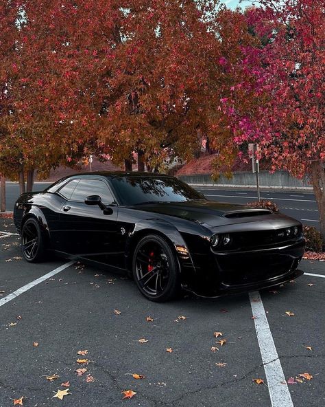 Cars Dodge Challenger, Dodge Challenger Gt, Dodge Challenger Hellcat, Challenger Srt Hellcat, Dream Car Garage, Dodge Challenger Srt Hellcat, Challenger Srt, Dodge Challenger Srt, Srt Hellcat