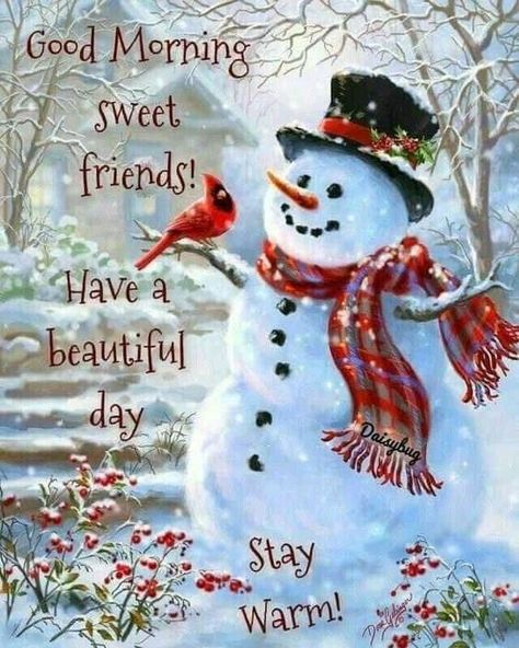 Christmas Morning Quotes, Christmas Greetings Quotes, Good Morning Christmas, Good Morning Winter, Good Morning Inspiration, Christmas Blessings, Good Morning Funny, Merry Christmas Wishes, Cute Good Morning