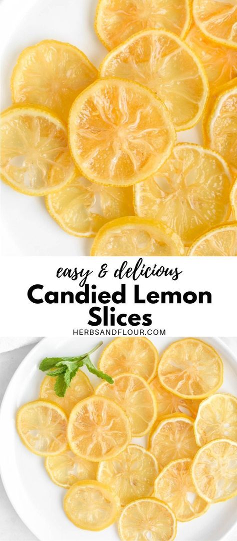 Hot Water With Lemon, Candied Lemon Slices, Lemon Water Health Benefits, Water With Lemon, Lemon Juice Benefits, Candied Lemon Peel, Lemon Health Benefits, Drinking Hot Water, Lemon Water Benefits