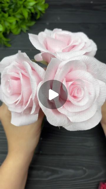 Paper Flowers Diy Tutorial, Crepe Paper Roses Tutorial, Turkey Crafts For Preschool, Diy Den, Flower Crafts Preschool, Crepe Paper Flowers Tutorial, Crepe Paper Flowers Diy, Crepe Paper Roses, Paper Flowers Diy Easy