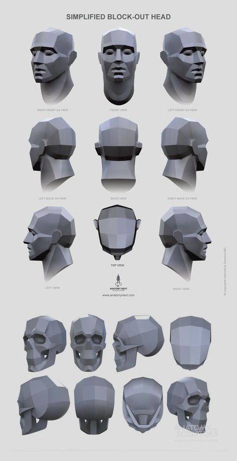 Skull Planes Anatomy, Shading Head Reference, Head Planes Anatomy, Planes Of The Head Reference, Plans Of The Face, Skull Proportions Drawing, Anatomy For Sculptors Face, Face Planes Reference, Head Anatomy Sketch