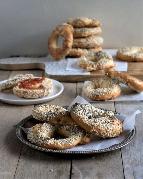 montreal bagels | DAVE BAKES Montreal Bagels, Quebec Province, New York Bagel, Bagel Recipe, Malted Milk, Breakfast Bake, Hope Is, Baking Sheets, Bagels