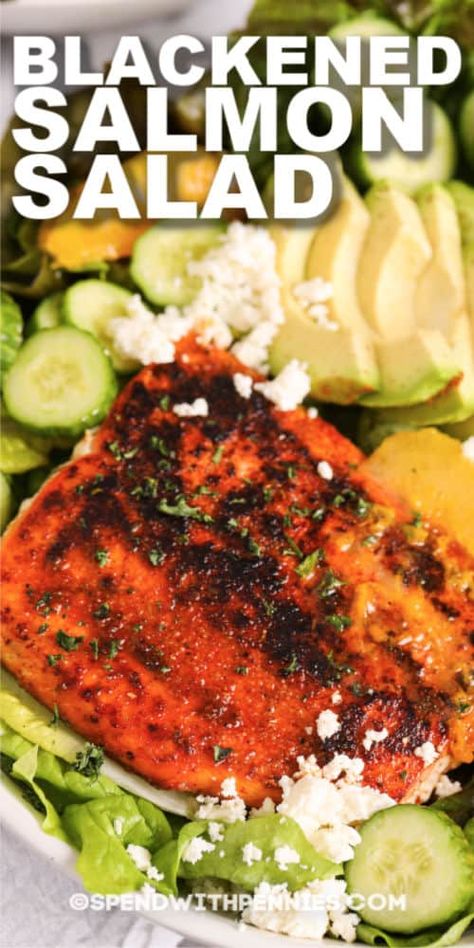 Blackened Salmon Salad is perfect for lunch out on the patio. Blackened salmon with fresh greens, avocado slices, and feta cheese, drizzled with a homemade honey-orange dressing! #spendwithpennies #blackenedsalmonsalad #recipe #maindish #healthy Blackened Salmon Pasta, Salmon Pasta Salad, Pasta Salad Salmon, Broccoli Pasta Salads, Orange Dressing, Grilled Chicken Caesar Salad, Salmon Salad Recipes, Blackened Salmon, Salmon Seasoning