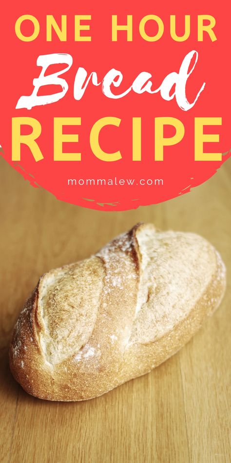 loaf of bread One Hour Homemade Bread, 1 Hr Bread, Bread Fast And Easy, One Loaf Bread Recipe Simple, Easy 1 Loaf Bread Recipe, Quick Loaf Of Bread, 90 Minute Bread, Homage Bread Recipe, 1 Hour Homemade Bread