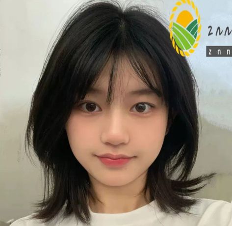 Jihyo Short Hair With Bangs, Hushcut Haircut Medium, Asian Haircut Medium Round Faces, Short Hair Korean Style Round Face, Wispy Bangs Wolf Cut, Korean Short Hair Bangs, Hush Cut Hair Short, Short Hair Wispy Bangs, Light Bangs