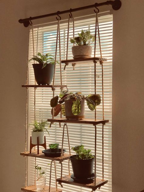 Window Shelf For Plants, Plant Window, Window Plants, Hanging Plants Indoor, Organized Living, Plant Decor Indoor, House Plants Decor, Room With Plants, Apartment Decor Inspiration