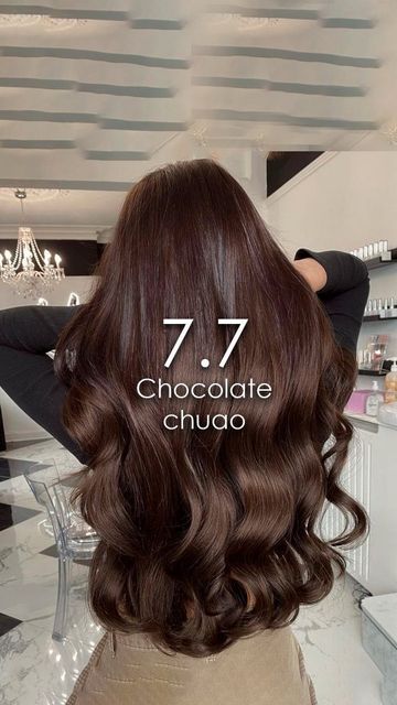 Long Dark Chocolate Brown Hair, Dark Chocolate Brown Hair Espresso, Chocolate Dark Brown Hair, Ondulado 2b, Cool Tone Brown Hair, Dark Chocolate Hair Color, Hazelnut Hair, Pelo Chocolate, Mocha Color Hair