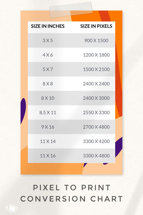 Figuring out how many pixels are in an inch can feel a lot like figuring out how many jelly beans are in a jar. If you need a specific size for your printable (like the perfect wallet size photo dimensions) get rid of the guesswork with our handy pixels to inches chart, which provides suggested image sizes in pixels for common photo sizes in inches. Wallet Size Picture, Go Ape, Stop Stressing, Photo Sizes, Baby Swag, Photo Dimensions, Social Media Images, Photography 101, Types Of Photography