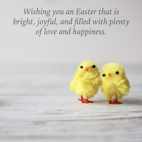 Happy Easter Quotes Jesus Christ, Easter Wishes Messages, Easter Wish, Happy Easter Gif, Easter Poems, Happy Easter Messages, Happy Easter Pictures, Happy Easter Quotes, B Photo