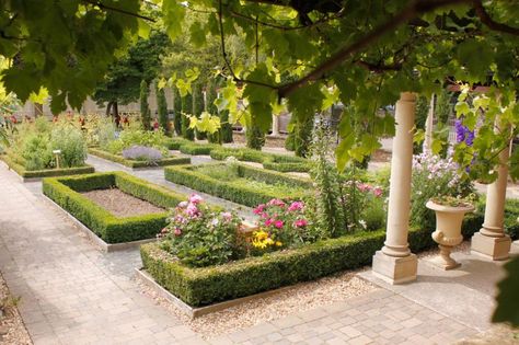 Roman Garden, Growing Vines, Ancient History Facts, Asian Garden, British Garden, Gardening Techniques, Italian Garden, Better Homes And Garden, Garden Show