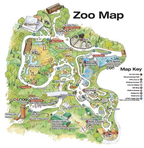 Pittsburgh Zoo map Alternative Drawings, Zoo Inspiration, Zoo Map, Zoo Tycoon, Zoo Aquarium, Zoo Design, Zoo Project, Zoo Architecture, Zoo Ideas