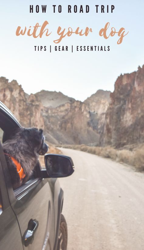 How to Road Trip With Your Dog: 10 Tips + 10 Essentials Road Trip With Dog Tips, Dog Road Trip Essentials, Dog Road Trip, Dog Vacation, Road Trip Accessories, Road Trip With Dog, Dog Friendly Vacation, Summer Roadtrip, Puppy Time