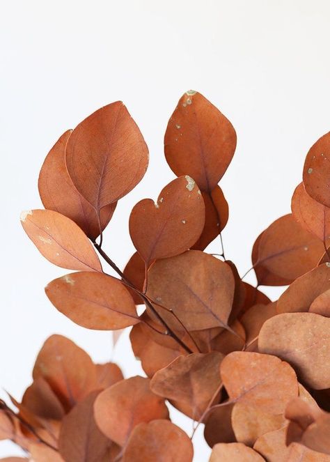 ❀°•.‿ AFloral Fake Hydrangeas, Dollar Eucalyptus, Silver Dollar Eucalyptus, Artificial Flowers Wedding, Dried Rose Petals, Silk Flowers Wedding, Wedding Flower Decorations, Silk Flower Arrangements, Floral Craft