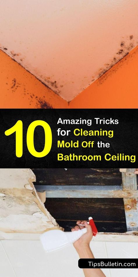 Whether you have tile or a popcorn ceiling, bathroom mold removal doesn’t have to be hard. Mold remediation halts mold growth and removes harmful mould spores. Clean mold with a DIY cleaner or white vinegar, and say goodbye to bathroom ceiling mold. #remove #mold #bathroom #ceiling Cleaning Mold Off Walls Bathroom, Mould Cleaner Diy, How To Clean Mold From Bathroom Ceiling, Mold Remover Bathroom Ceiling, How To Remove Mold From Bathroom Ceiling, Bathroom Ceiling Mold Removal, Remove Mold From Ceiling Bathroom, Cleaning Mold Off Bathroom Ceiling, How To Clean Mold