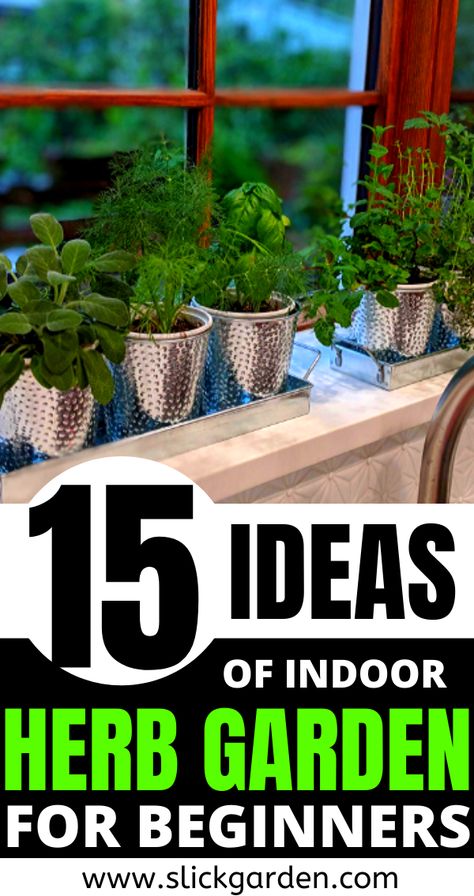 Planting Herbs Indoors, Window Sill Herb Garden, Indoor Herb Garden Ideas, Indoor Herb Garden Diy, Windowsill Herb Garden, Window Herb Garden, Salad Garden, Herb Garden Ideas, Ladder Ideas