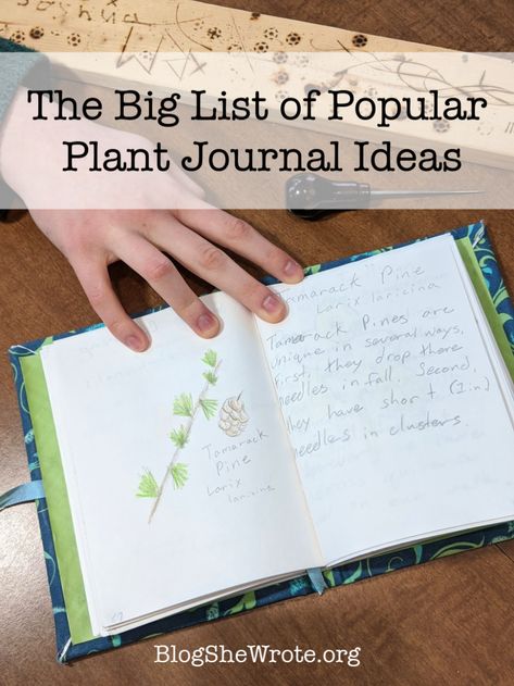 The big list of ideas for plant journals your students can start- from garden journals to habitat journals and everything in between! Garden Journal Ideas Inspiration, Plant Journal Ideas, Garden Journals, Botany Lessons, Science Pins, Plant Journal, Deer Resistant Plants, Garden Workshops, Fairy Garden Designs