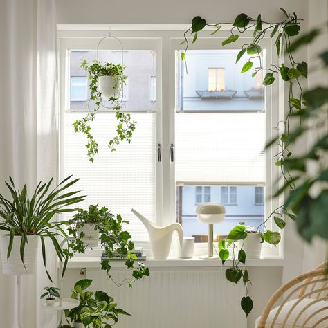 Bedroom window design