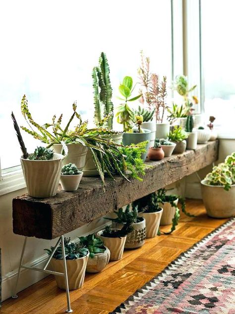 Indoor Plants Diy, Indoor Plant Shelves, Koti Diy, Deco Champetre, Support Pour Plante, Thrifty Diy, Trendy Plants, Plant Stands Outdoor, Living Room Plants