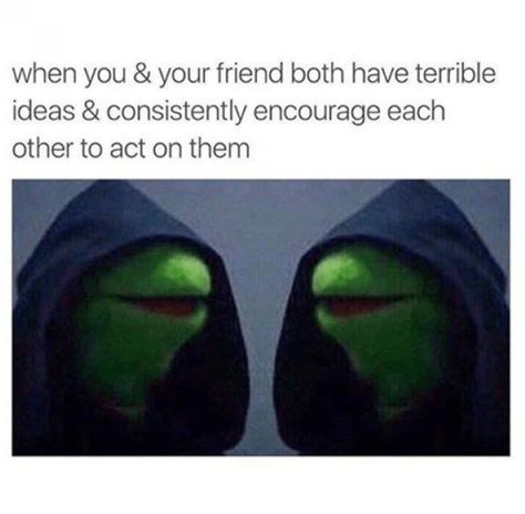 38 Funny Memes And Pics To Distract You From Your Misery Funny Kermit Memes, Kermit Meme, Friendship Memes, Kermit Funny, Friend Memes, Best Friends Funny, Kermit The Frog, Work Memes, Best Friend Quotes