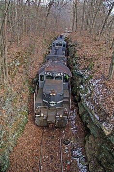 Trees, Old Train, A Train, In The Woods, Forest, Train