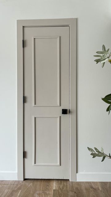 Entry Way Doors Inside, Doors Interior Color Ideas, Basic Door Makeover, Wood Door Colour Ideas, Updated Interior Doors, Flat Doors Makeover, Wall Trim And Door Colors, Update Plain Doors, Contrast Door And Trim