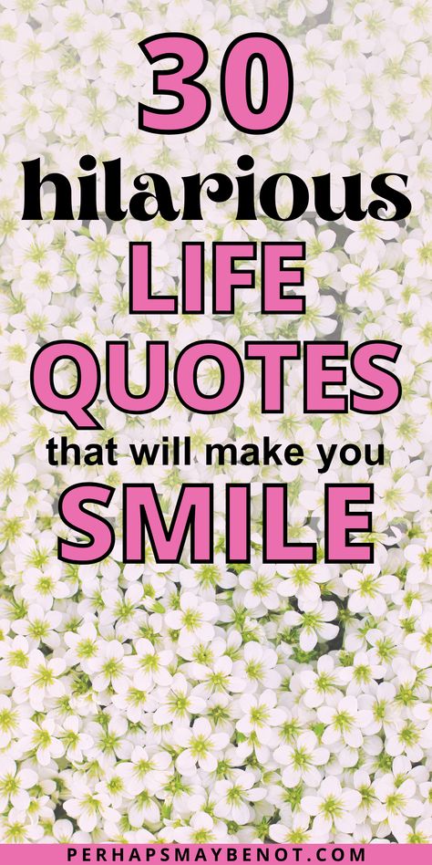 Need a good laugh? Look no further than these hilarious quotes about life #quotes #lifequotes #funnyquotes The New You Quotes, Hello Note Quotes, Bad Advice Quotes Funny, Classy Sayings Woman, Laughing Quotes Life, The Day I Was Born Quotes, Random Inspiration Quotes, Funny Yet Inspiring Quotes, Living Well Quotes