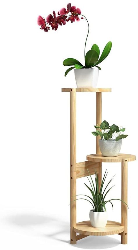 AmazonSmile: Wood Plant Stand Indoor Outdoor,3 Tier Tall Corner Plant Stand Holder,Plant Display Rack for Patio Garden and Corner Balcony,Plant Stands for Indoor Plants,Upgrade Design,Natural (3 Tier -1) : Patio, Lawn & Garden Wooden Plant Stands Indoor, Tiered Plant Stand Indoor, Plant Stand Decor, Zimmer Diy, Corner Plant, Tall Plant Stands, Modern Plant Stand, Wooden Plant Stands, Wood Plant Stand