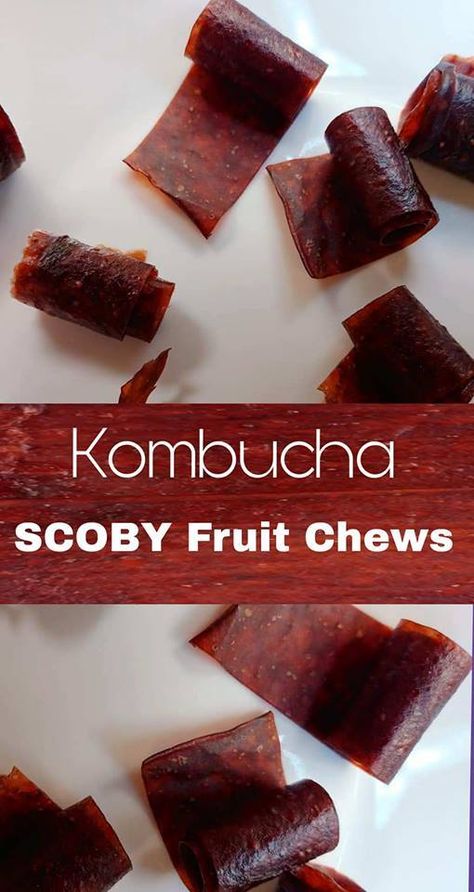 Scoby Recipes, Scoby Hotel, Make Kombucha, Kombucha Flavors, Kombucha Scoby, Homemade Kombucha, Kombucha Recipe, Fruit Chews, Fermented Tea