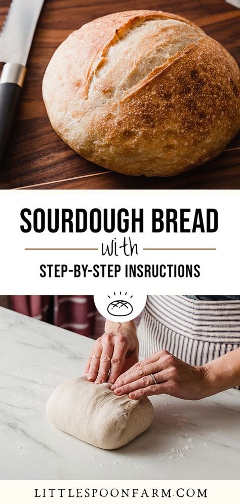 Homemade Sourdough Bread Recipes, Make Sourdough Bread, Easy Sourdough Bread Recipe, Recipe Using Sourdough Starter, Sourdough Bread Starter, Sourdough Starter Discard Recipe, Homemade Sourdough Bread, Artisan Bread Recipes, Sourdough Starter Recipe