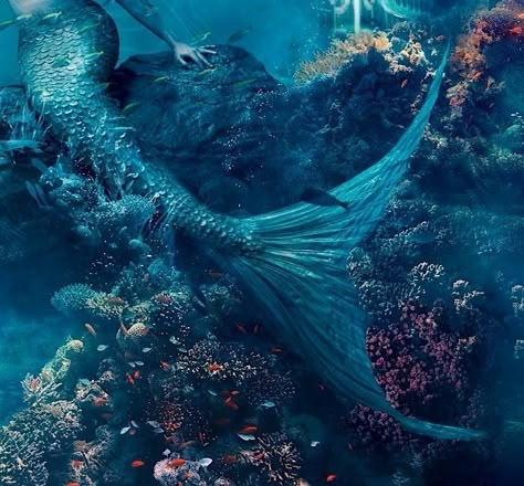 credit unknown🪼 #mermaid #underwater #ocean #aesthetic #blue Blue Mermaid Aesthetic, Era Victoria, Siren Aesthetic, Siren Core, Greek Sea, Siren Mermaid, Mermaid Siren, Mermaid Core, Mermaid Pictures