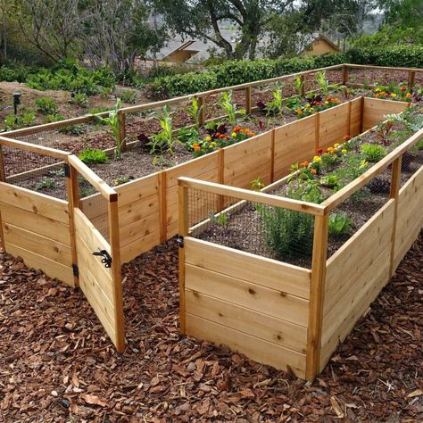 Outdoor Living Today 8x16 Deer Proof Raised Garden Bed Fenced Garden With Raised Beds, Ranch Backyard, Raised Garden Beds Layout, Environmental Stewardship, Deer Proof, Raised Garden Bed Plans, Cedar Raised Garden Beds, Raised Vegetable Gardens, Cedar Garden