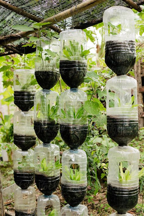 Plastic Bottle Planter, Reuse Plastic Bottles, Plants In Bottles, Diy Herb Garden, Diy Plastic Bottle, Vertical Garden Diy, Plants Growing, Bottle Garden, Indoor Herb Garden