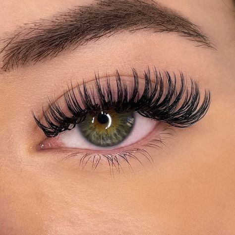 Silk Lashes Extensions, Volume Lash Extensions Wet Look, Lash Extensions Wet Effect, Wispy Wet Classic Lash Extensions, Hybrid Lash Extensions Wet Look, Angel Wet Set Lash Extensions, Wet Mascara Lash Extensions Look, Wet Look Lashes Extensions, ต่อขนตา Wet Look