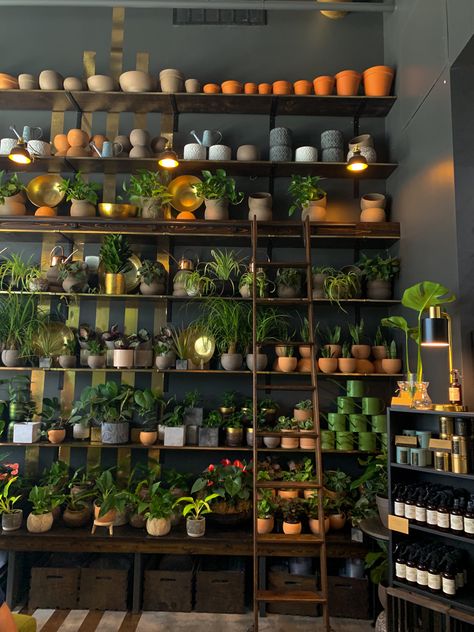 Plant Sales Display, Plant Store Layout, Retail Houseplant Displays, Dark Store Aesthetic, Plant Shop Aesthetic Vintage, Aesthetic Plant Shop, Plant Shop Cafe, House Plant Shop, Plant Store Design