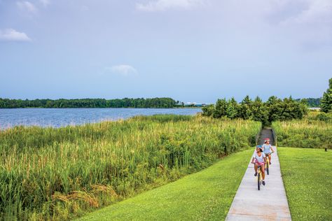 Jacksonville Nc, Jacksonville North Carolina, Beach Bonfire, Cape Hatteras, Waterfront Restaurant, Fishing Guide, New River, Vietnam Veterans Memorial, Outer Banks