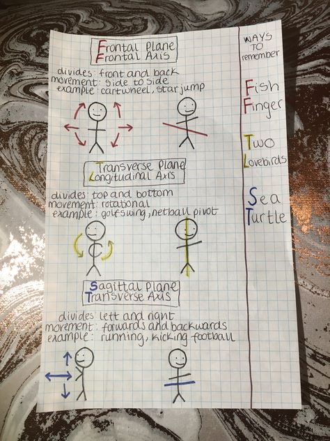 Frontal, transverse, sagittal planes. Frontal, longitudinal, transverse axis. Frontal Plane Anatomy, Sagittal Plane Anatomy, Anatomy Planes And Sections, Body Planes Anatomy Notes, Body Planes Anatomy, Anatomy Planes, Anatomical Planes, Body Planes, Frontal Plane