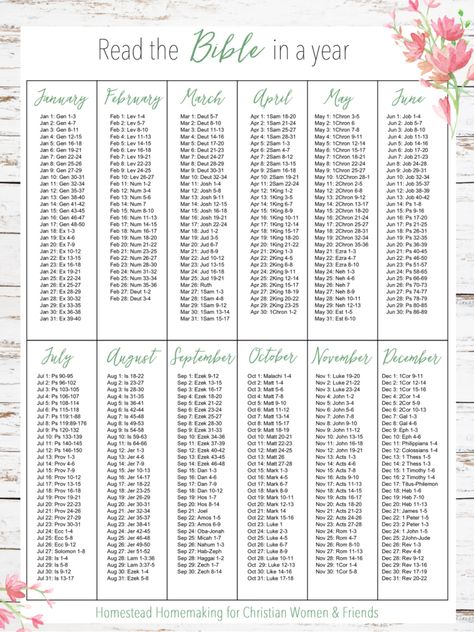 Daily Bible Reading Plan, Bible Reading Schedule, Year Bible Reading Plan, Scripture Writing Plans, Bible In A Year, Writing Plan, Bible Study Plans, Bible Study Tips, Read The Bible