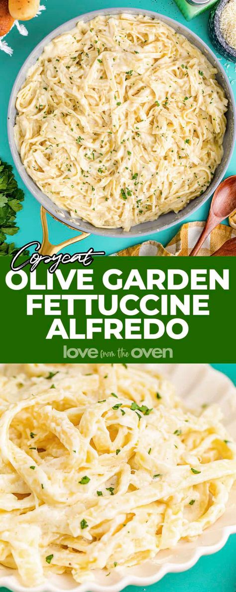 Copycat Olive Garden Alfredo • Love From The Oven Fettucini Alfredo Olive Garden, Olive Garden Alfredo Recipe, Olive Garden Fettuccine Alfredo Recipe, Fettuccine Alfredo Olive Garden, Olive Garden Chicken Alfredo Recipe, Copycat Olive Garden Alfredo Sauce, Fetuchini Alfredo, Fettucini Alfredo Recipe, Fetuccini Alfredo