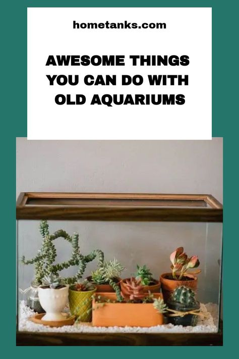 If you want to get rid of your old aquarium, here's a guide for you how to get the most out of your old tank. This article will give you variety ofoptions available for the size and type of aquarium you have. #aquariumcare #aquariumideas Things To Do With Old Fish Tanks Ideas, Upcycle Aquarium Ideas, Succulent Aquarium Garden, Repurpose Aquarium Tanks Ideas, What To Do With Old Fish Tanks, Aquarium Repurpose Ideas, Repurpose Fish Tank Ideas, Terrarium Ideas Fish Tank, Terrarium In Fish Tank