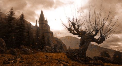 ً on Twitter: "autumn at hogwarts… " Harry Potter Fall Aesthetic Wallpaper, Harry Potter Fall Aesthetic, Harry Potter Fall, Fall Iphone Wallpaper, Fall Aesthetic Wallpaper, November Wallpaper, Gryffindor Aesthetic, Hufflepuff Aesthetic, Harry Potter Wall