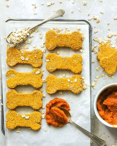 Pumpkin Oat Dog Treats, Oat Dog Treats, Oatmeal Dog Treats, Apple Dog Treats, Dog Treats Homemade Pumpkin, 3 Ingredient Dog Treats, Apple Oats, Dog Cookie Recipes, Dogs Treats