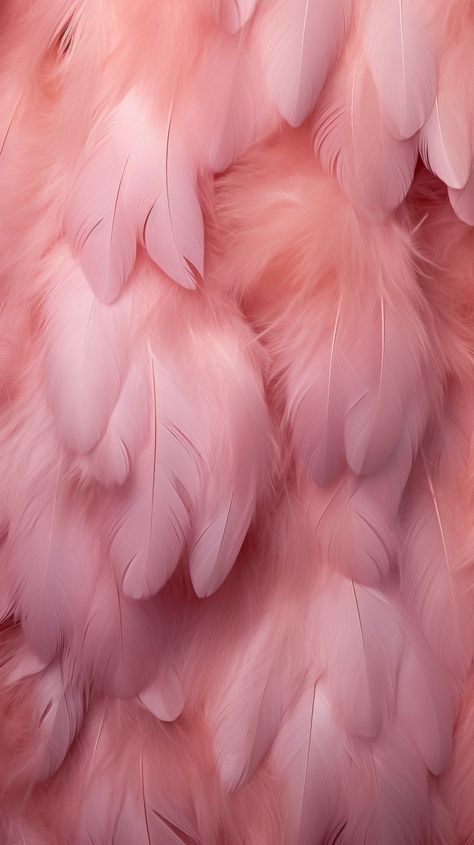 Pink Feather Aesthetic, Aesthetic Boarders Designs, Feather Wallpaper, Iphone Dynamic Wallpaper, 2160x3840 Wallpaper, Iphone Lockscreen Wallpaper, Wallpaper Nature Flowers, Apple Watch Wallpaper, Pink Vibes