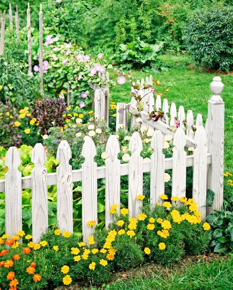 All About Picket Fences - This Old House Napa Garden, Georgia Gardening, Picket Fence Gate, Picket Fence Garden, Wood Picket Fence, Garden Gates And Fencing, Picket Fences, Fence Garden, White Fence